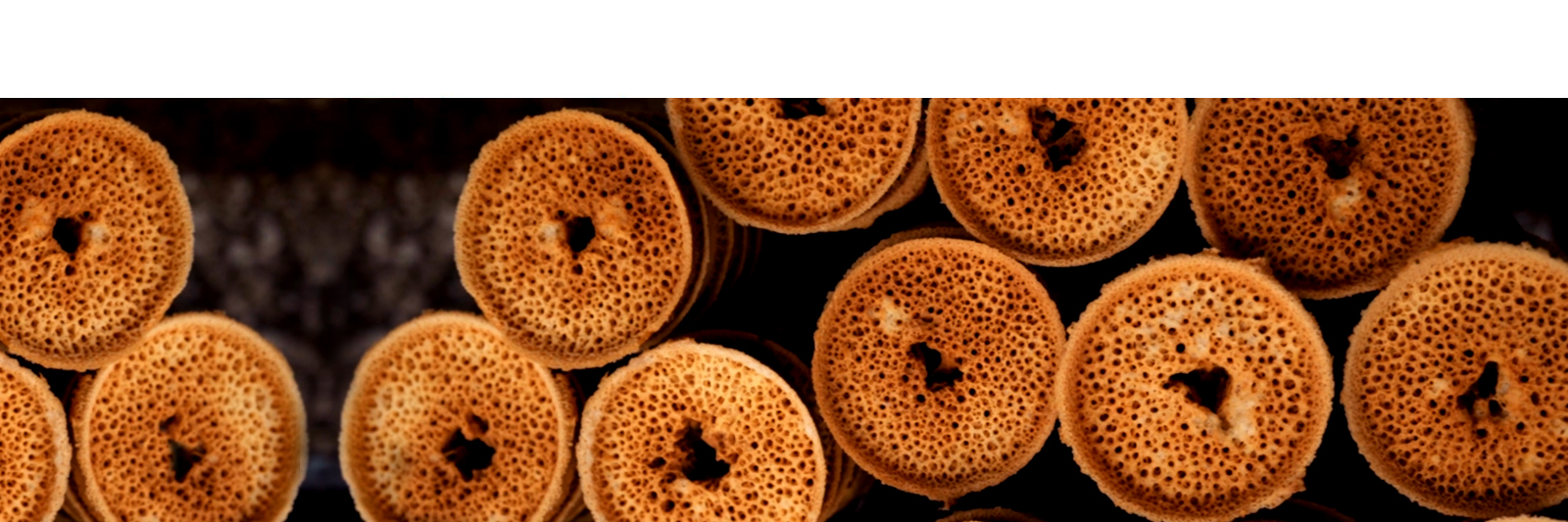 BANNER2
